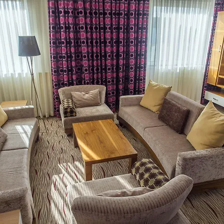 Airport Global Hotel 3*