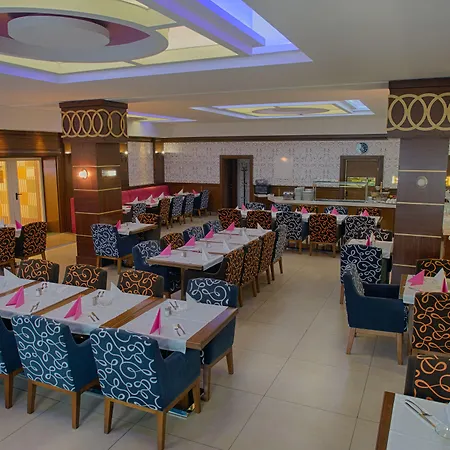 Airport Global Hotel, Olive Otel 3*