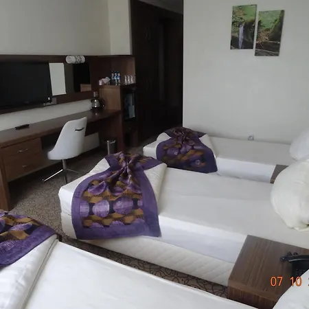 מלון Airport Global Hotel, Olive