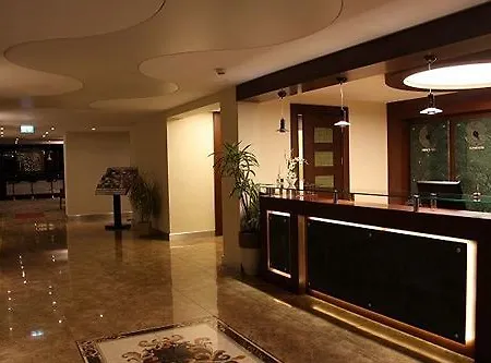 Airport Global Hotel, Olive Hotel